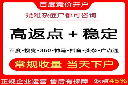大数据分析在竞价广告中的应用